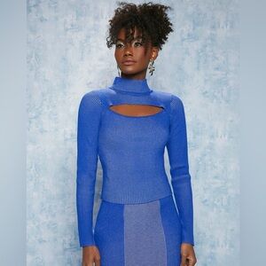 Say What? Vibrant Blue Women's Turtleneck Sweater